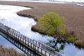 View from above a marsh