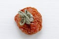 View from above. Moldy ugly rotten spoiled red tomato with white mold on a light background. Stale food. food processing and waste Royalty Free Stock Photo