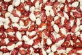 View from above on a pile of raw red with white speckled kidney beans. Closeup