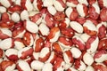 View from above on a pile of raw red with white speckled kidney beans. Closeup