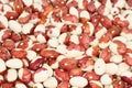 View from above on a pile of raw red with white speckled kidney beans. Closeup