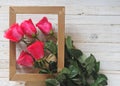 View from above. Pink roses in a frame for the holiday on a white wooden table.Congratulations, place for text Royalty Free Stock Photo