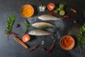 View from above of raw fish on a background Royalty Free Stock Photo