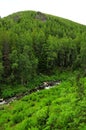 A view from above on a small stormy river with a rocky bottom flowing through a dense forest at the foot of a high mountain