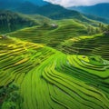 View from Above of a Terraced Rice Field in West