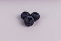 Three dark blue blueberries laying on white background view from above
