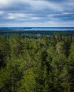 View from above to the beautiful pine forest and the blue lake behind the forest Royalty Free Stock Photo