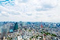 View from above on Tokyo Tower with skyline in Japan Royalty Free Stock Photo