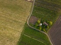 Planted agricultural fields with a road and a house, top view