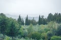 view from above on a typical landscape in tuscany with cypress trees with hill ranges in misty late summer Royalty Free Stock Photo