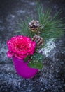 View from above on a vivit pink rose with branch of pine and snowflakes.