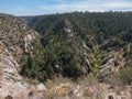 Walnut Canyon near Flagstaff, Arizona Royalty Free Stock Photo