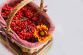 View from above. wicker basket full of red rowan berries with a yellow flower on a white background Royalty Free Stock Photo