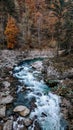 Lammerklamm Scheffau Austria view on the mountainriver with autumn forest in background