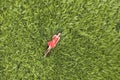 View from above of young attractive slim woman in red dress laying with closed eyes in green wheat field Royalty Free Stock Photo