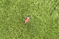 View from above of young attractive slim woman in red dress laying with closed eyes in green wheat field Royalty Free Stock Photo