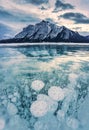 View of Abraham Lake with natural bubbles frost in the morning on winter at Banff national park Royalty Free Stock Photo