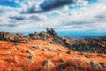 View of the accumulation of stones on the top of the mountain with fir trees and autumn colorful grass and bushes