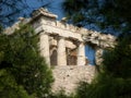 View at Acropolis in Athens through the pine branches Royalty Free Stock Photo