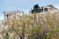 View on Acropolis in Athens from spring garden with blossoming trees