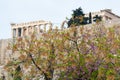 View on Acropolis in Athens from spring garden with blossoming trees