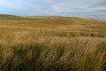 View across Batty Moss at the Ribble Valley Yorkshire England