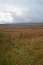 View across Batty Moss to the Ribblehead Viaduct Royalty Free Stock Photo