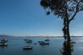 Boats moored, Morro Bay, California