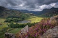 A view to Blea Tarn, Lake District with dramatic sky and heather in bloom