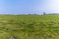 A view across the centre of the top of the Iron Age Hill fort remains at Burrough Hill in Leicestershire, UK Royalty Free Stock Photo