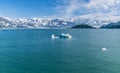 A view across Disenchartment Bay past icebergs towards the Valerie Glacier in Alaska Royalty Free Stock Photo