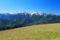 Mount Olympus from Hurricane Ridge Alpine Meadows, Olympic National Park, Washington State Royalty Free Stock Photo