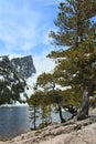 A view across Emerald Lake on the Bear Lake Trail in Rocky Mountain National Park in spring Royalty Free Stock Photo