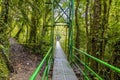 A view across the first hanging bridge in the cloud rain forest in Monteverde, Costa Rica Royalty Free Stock Photo