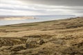 Grassy slopes with a view