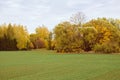 various trees with autumn colored leaves Royalty Free Stock Photo