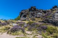 A view across the heather lined path up to the summit of the Roaches, Staffordshire, UK Royalty Free Stock Photo