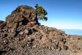 A view across lava field to Atlantic ocean from Observation deck on TF-38, .Teide National Park, Tenerife, Canary Islands, Spain Royalty Free Stock Photo