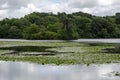 Lower Lake, Sandhurst Military Academy, Berkshire