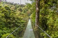 A view across a 100m long suspended bridge in the cloud rain forest in Monteverde, Costa Rica .