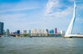 View across Maas River through cable stays of Erasmus Bridge to commercial skyline and buildings