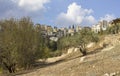 A view across the Nazareth Village Museum olive grove into high rise aparments in modern Nazareth Israel Royalty Free Stock Photo