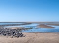 View across Northam Burrows to the River Torridge and Taw estuary. Pebbles and sand. Low tide. Scenic landscape, north Devon