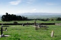 View across old cemetery