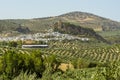 A view across the olive fields to the town and hilltop fortress in Montefrio, Spain Royalty Free Stock Photo