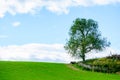 View across open farmland near Ings in the Lake Distict UK