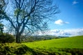 View across open farmland near Ings in the Lake Distict UK