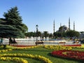 View across park to Blue Mosque in Istanbul Royalty Free Stock Photo