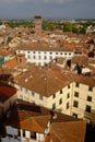 View across rooftops of Lucca in Tuscany Royalty Free Stock Photo