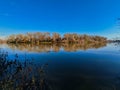 Winter view of Sacramento river shoreline on a clear winter day Royalty Free Stock Photo